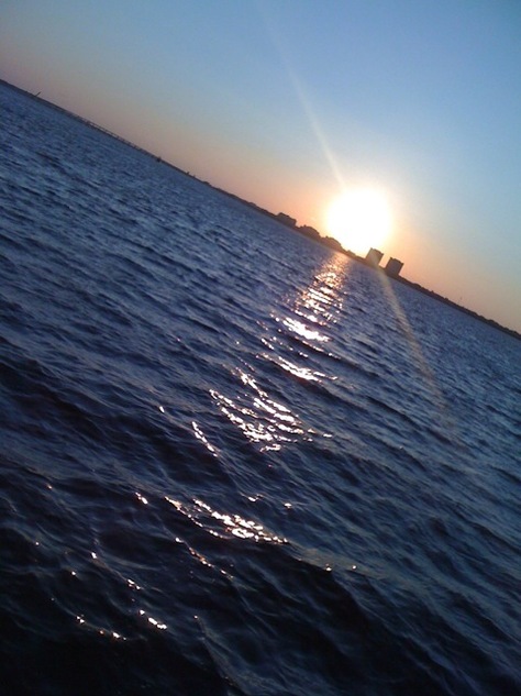 IMG_0039.jpg
